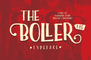 Boost Your Campaign with The Boller Display Font