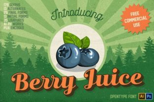 Enhance Your Brand with Berry Juice: A Vintage Font