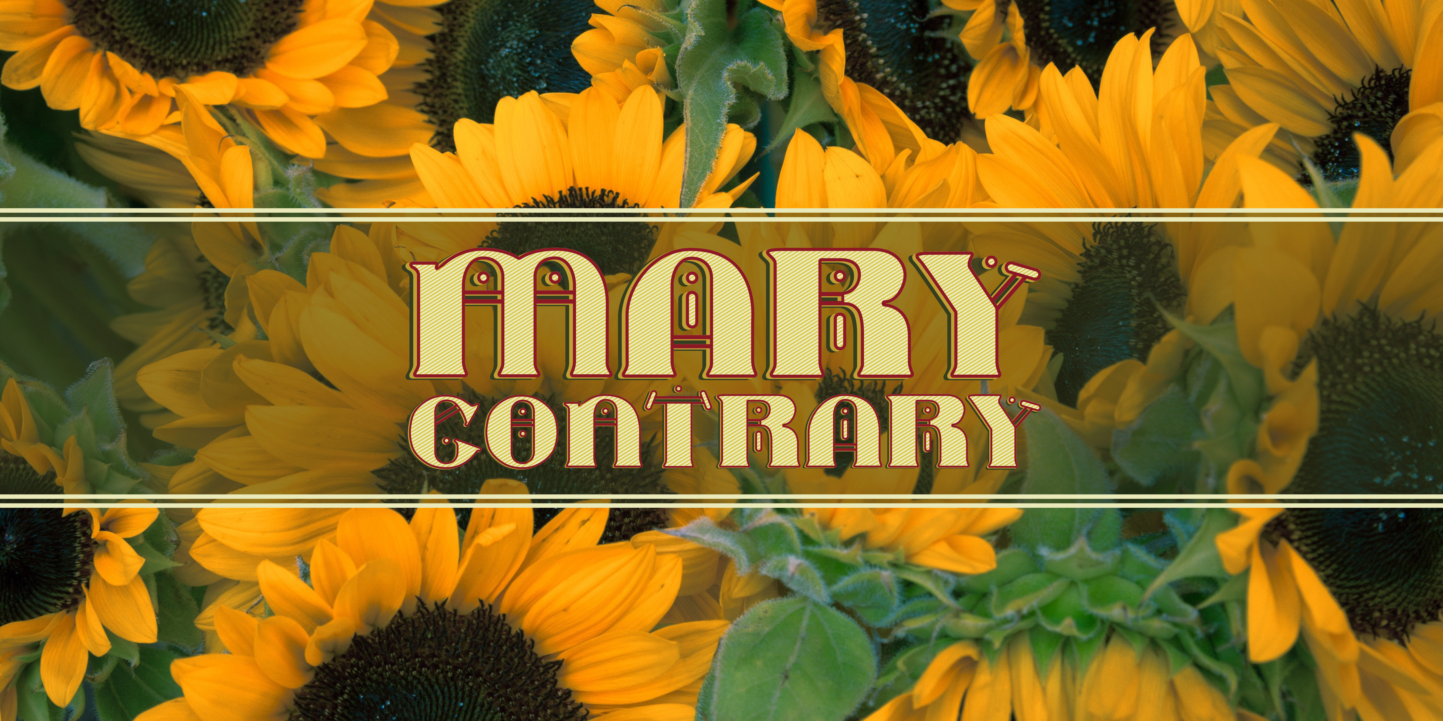 Mary Contrary: A Versatile Display Font for Creative Projects
