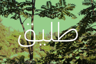 Taleeq Arabic Typeface: A Display Font for Branding